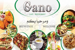 BACHE_PALISS BACHE_PALISS